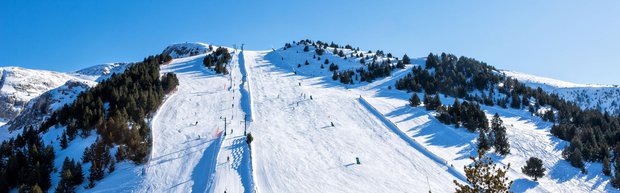 Masella