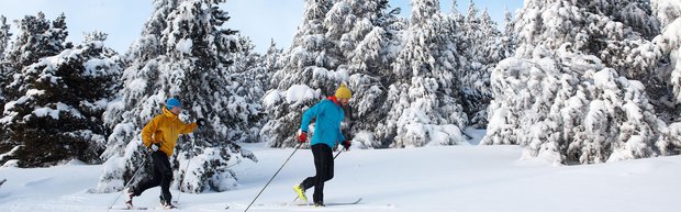 Xonrupt- La Bresse
